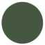 NHM W55 DUCK GREEN
