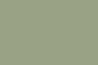 19 LICHEN