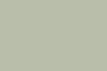 25 PIGEON