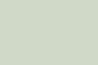 204 PALE POWDER