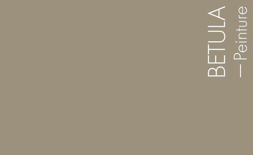 Couleur Peinture Betula : Brun clair sans reflet vert, à comparer à BECASSE