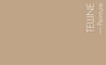 Couleur Telline : Beige lumineux et plus ocré que le BETULA Couleur Telline : Beige lumineux et plus ocré que le BETULA